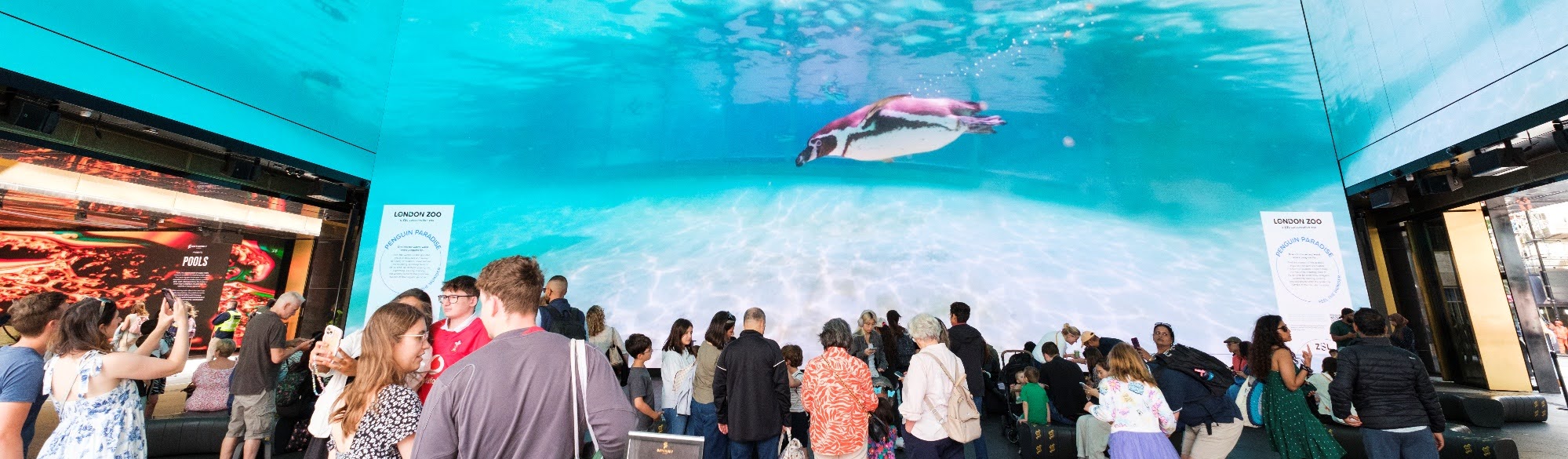 Bringing underwater penguins to the streets of London case study