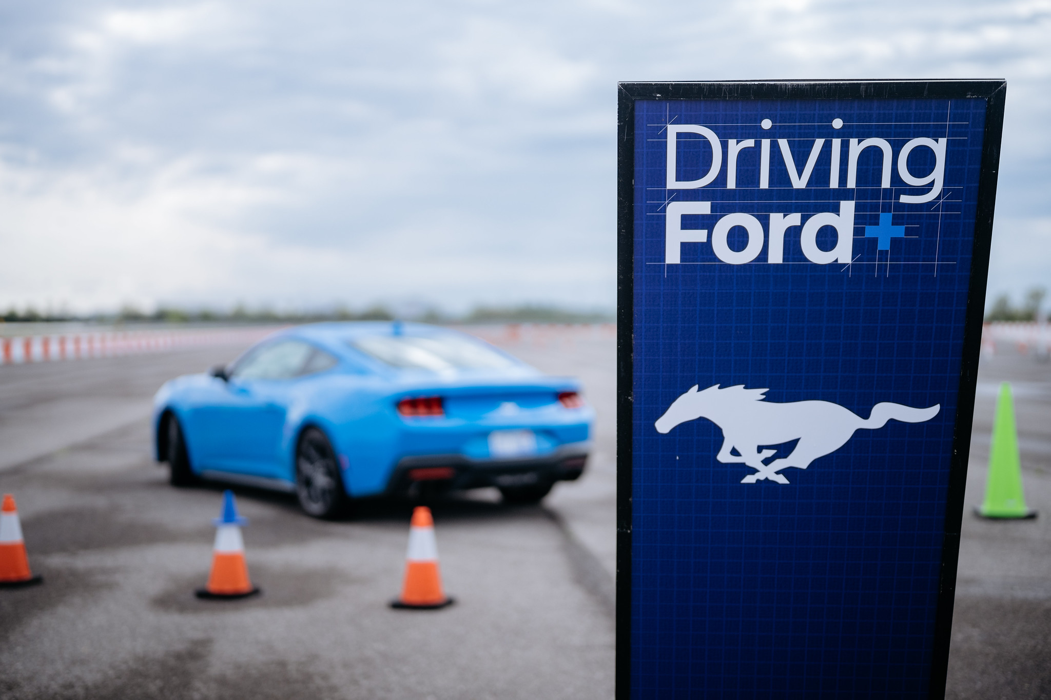 Ford - Driving Ford+ Employee Programme case study