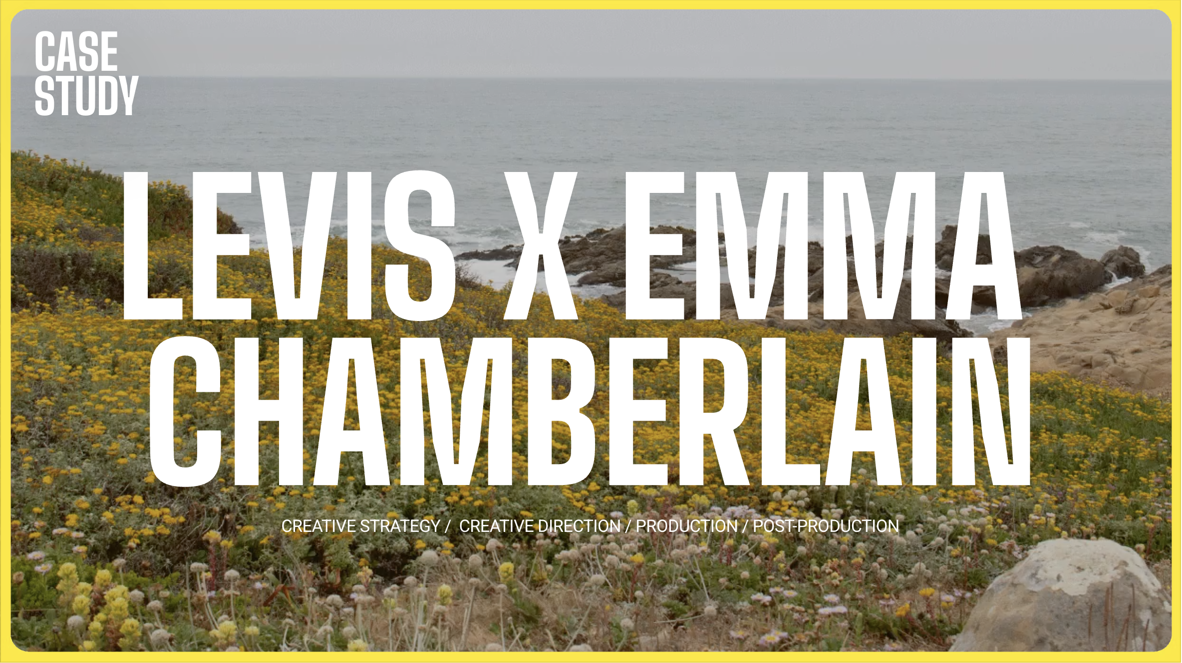 Levis x Emma Chamberlain case study